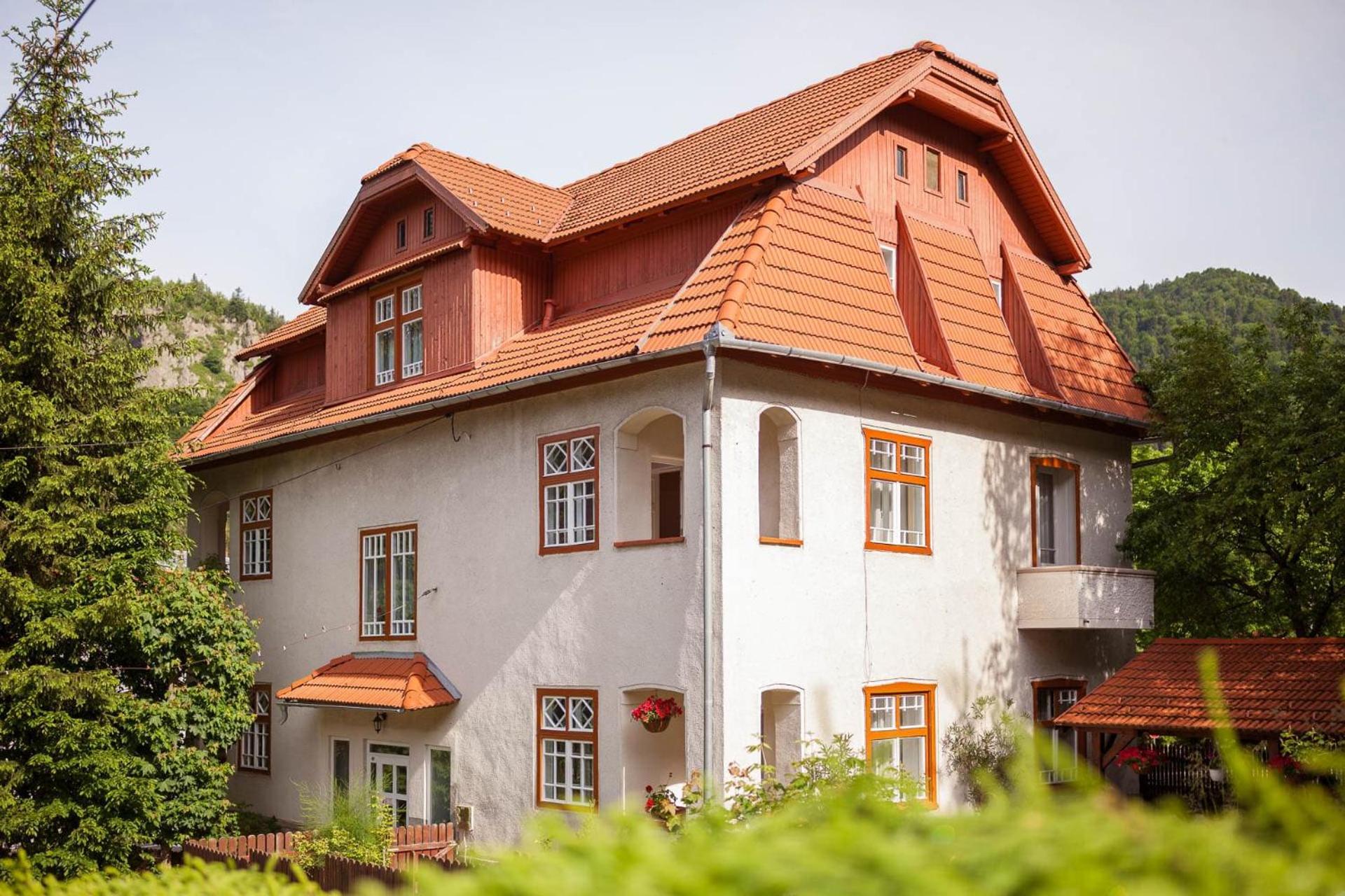 Pensiunea Ritz BaileTusnad Exteriér fotografie